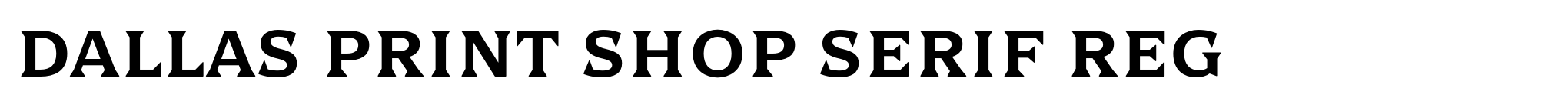 Dallas Print Shop Serif Reg image